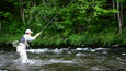 Tenkara Fly Fishing