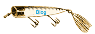 Fishing Blog